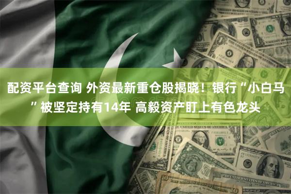 配资平台查询 外资最新重仓股揭晓！银行“小白马”被坚定持有14年 高毅资产盯上有色龙头