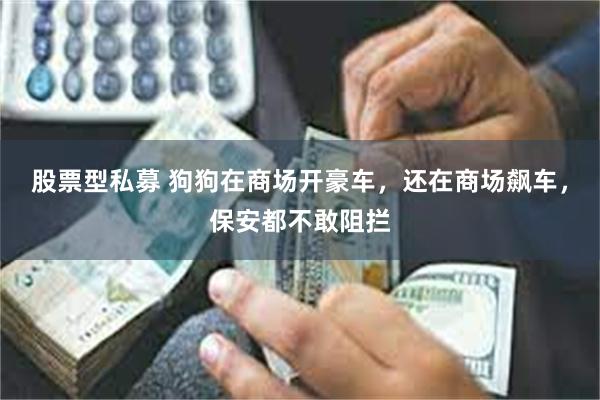 股票型私募 狗狗在商场开豪车，还在商场飙车，保安都不敢阻拦
