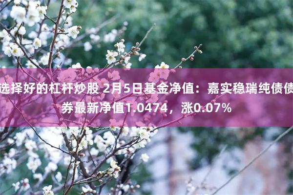 选择好的杠杆炒股 2月5日基金净值：嘉实稳瑞纯债债券最新净值1.0474，涨0.07%