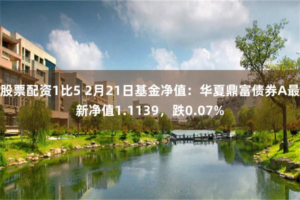 股票配资1比5 2月21日基金净值：华夏鼎富债券A最新净值1.1139，跌0.07%