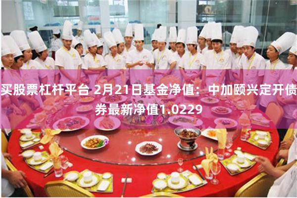 买股票杠杆平台 2月21日基金净值：中加颐兴定开债券最新净值1.0229