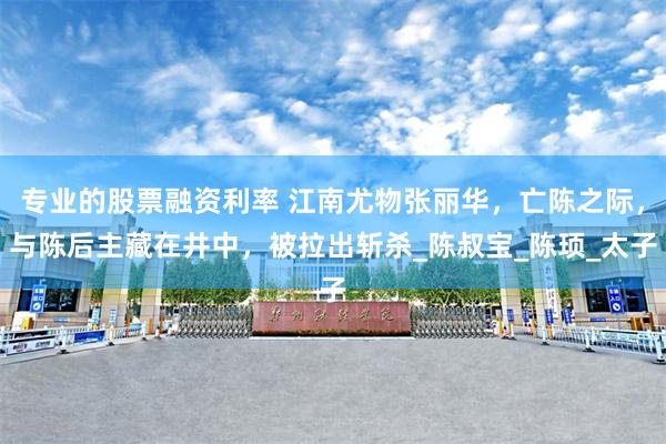 专业的股票融资利率 江南尤物张丽华，亡陈之际，与陈后主藏在井中，被拉出斩杀_陈叔宝_陈顼_太子