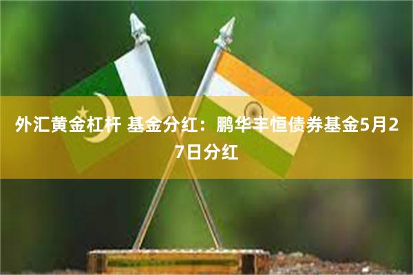外汇黄金杠杆 基金分红：鹏华丰恒债券基金5月27日分红