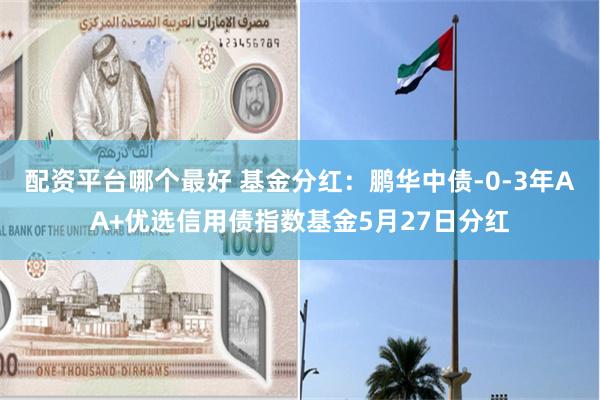 配资平台哪个最好 基金分红：鹏华中债-0-3年AA+优选信用债指数基金5月27日分红