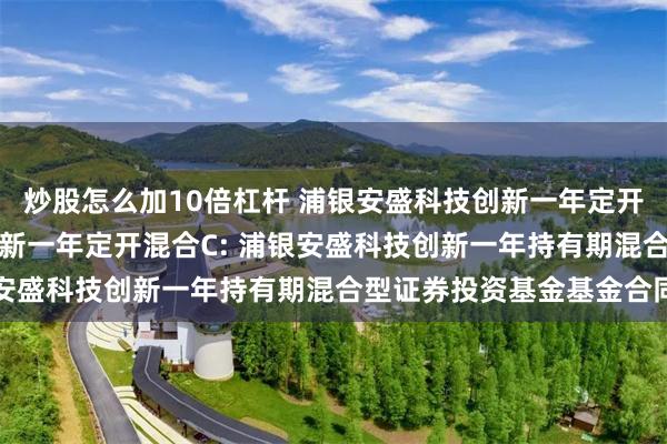 炒股怎么加10倍杠杆 浦银安盛科技创新一年定开混合A,浦银安盛科技创新一年定开混合C: 浦银安盛科技创新一年持有期混合型证券投资基金基金合同