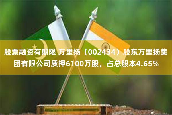 股票融资有期限 万里扬（002434）股东万里扬集团有限公司质押6100万股，占总股本4.65%