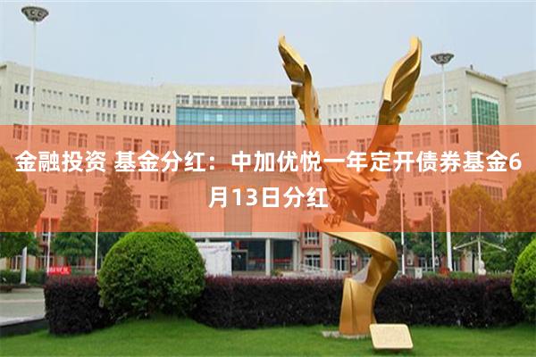 金融投资 基金分红：中加优悦一年定开债券基金6月13日分红
