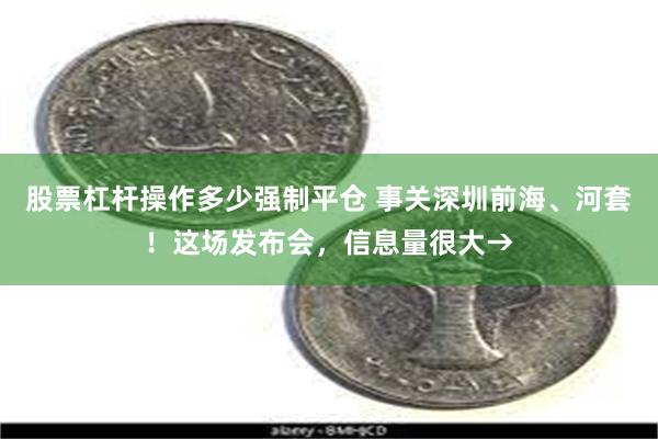 股票杠杆操作多少强制平仓 事关深圳前海、河套！这场发布会，信息量很大→