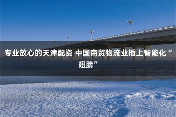 专业放心的天津配资 中国商贸物流业插上智能化“翅膀”