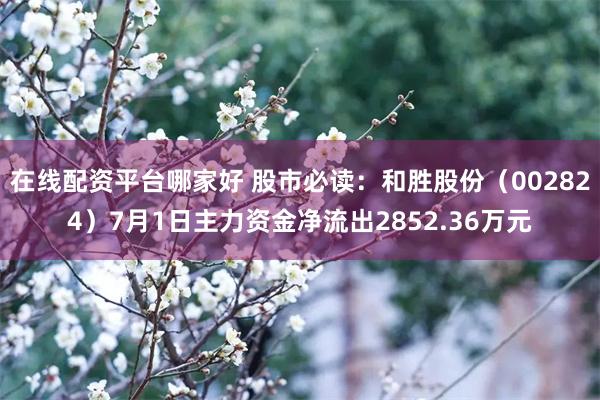 在线配资平台哪家好 股市必读：和胜股份（002824）7月1日主力资金净流出2852.36万元