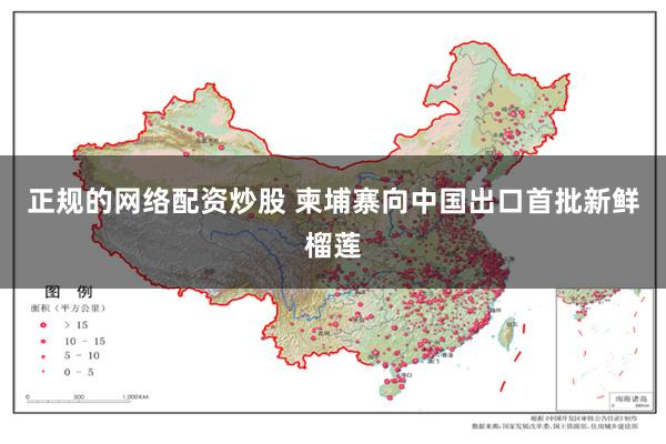 正规的网络配资炒股 柬埔寨向中国出口首批新鲜榴莲