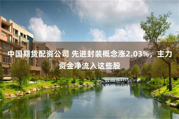 中国期货配资公司 先进封装概念涨2.03%，主力资金净流入这些股