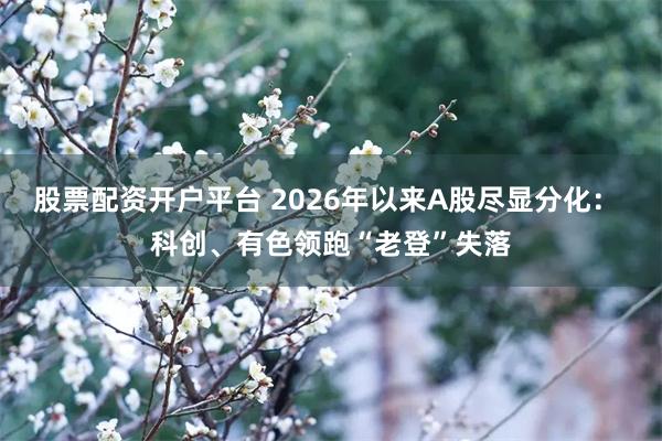 股票配资开户平台 2026年以来A股尽显分化： 科创、有色领跑“老登”失落
